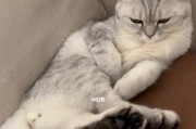 女友过度依赖如何应对？（男友们必看！解决女友太粘人的方法）