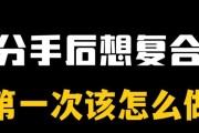 复合之路——以分手后再次在一起的痛苦与收获（探寻分手复合的真相，挽回爱情的方法和技巧）