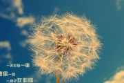 如何以12星座被抛弃想挽回？（星座挽回技巧，让你重新拥有TA）