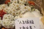 如何优雅地暗示放弃？（女生不回微信的正确姿势）