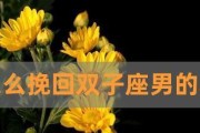 挽回双子座的心，让爱情再次绽放（挽回双子座，关键在于沟通）