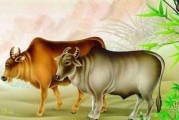 揭秘必嫁官员官太太的命理学秘密（了解八字命盘中的关键因素，探究官太太的成功之道）