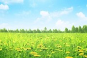 15个小技巧助你维持美丽（15个小技巧助你维持美丽）