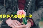 掌握技巧，测出TA的真实面目（掌握技巧，测出TA的真实面目）