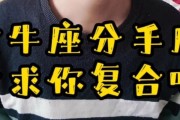 金牛座男生想复合的表现（了解这些表现，掌握他的心理状态）