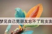 解梦（分手、恋情、未来、预兆、原因）