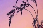 让女友幸福的早安心语（唤起幸福的一句话）