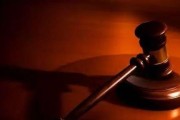 案件复杂度并非判断公益诉讼可行性的唯一标准，关键在于保护公共利益