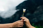 男人绝情断联，如何挽回？（分析男人绝情断联的原因和解决方法，帮你成功挽回爱情）