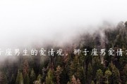 男生恋爱观调查（探究男生恋爱态度和看法，透析他们内心真实想法）