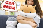 如何挽回女友？不收费方法大揭秘！（如何以正确的方式挽回自己的女友，重新获得她的心）